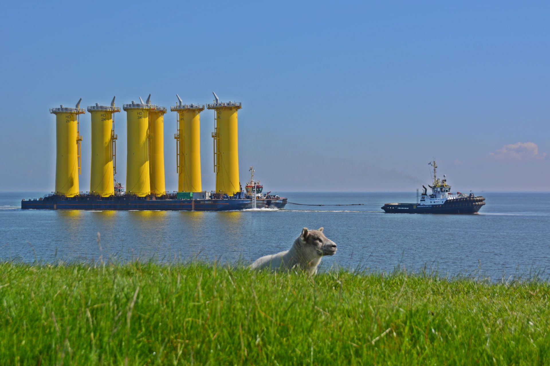 A barge carrying large yellow cylindrical structures is towed by a tugboat on the water, with a dog sitting on green grass in the foreground.