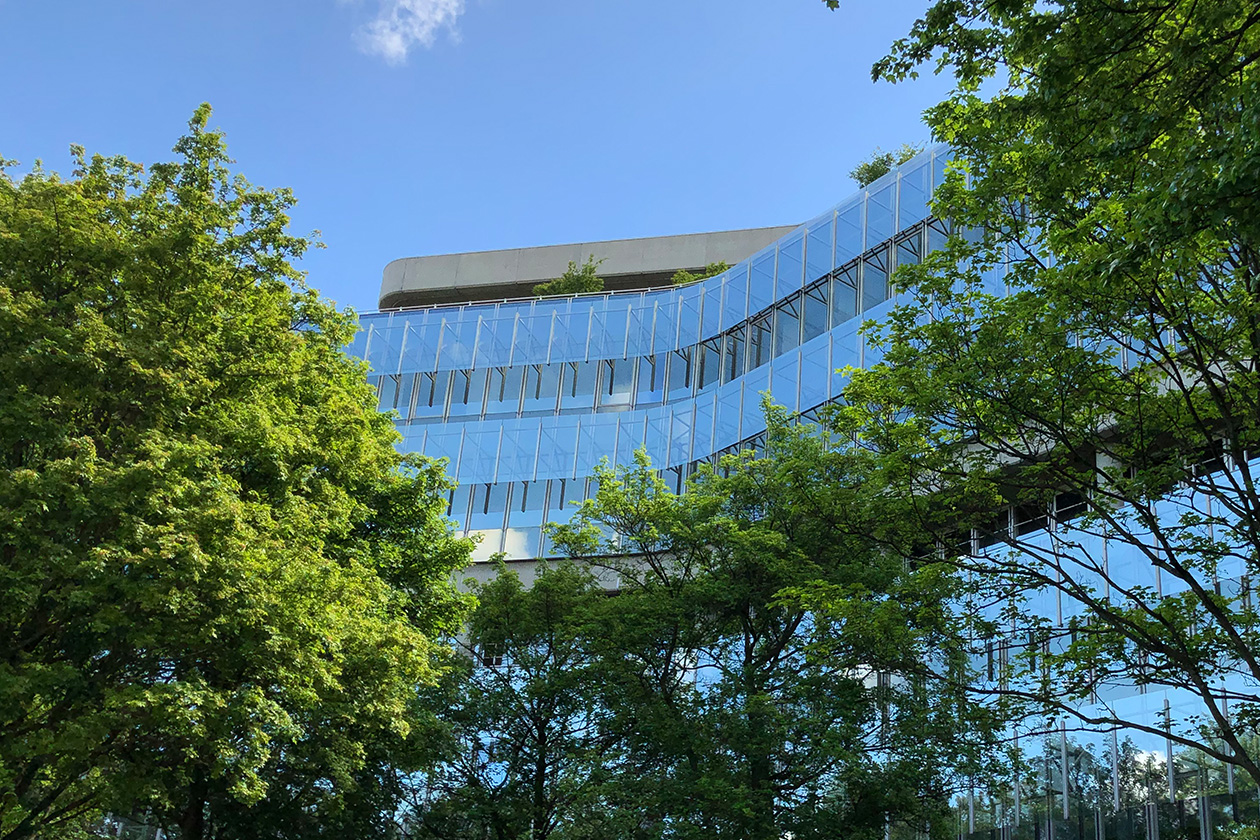 Ein modernes Bürogebäude aus Glas mit geschwungener Architektur wird unter einem klaren blauen Himmel teilweise von grünen Bäumen verdeckt.