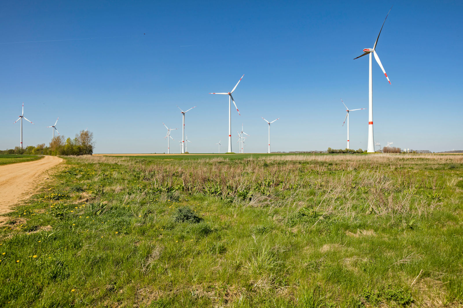Several wind turbines are spread across a grassy field under a clear blue sky, with a dirt path running along the left side of the image.